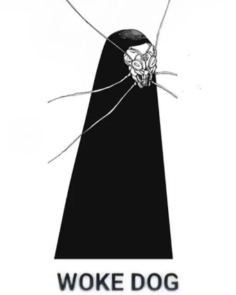 #1 kurourushi fan 🪳 tweet media