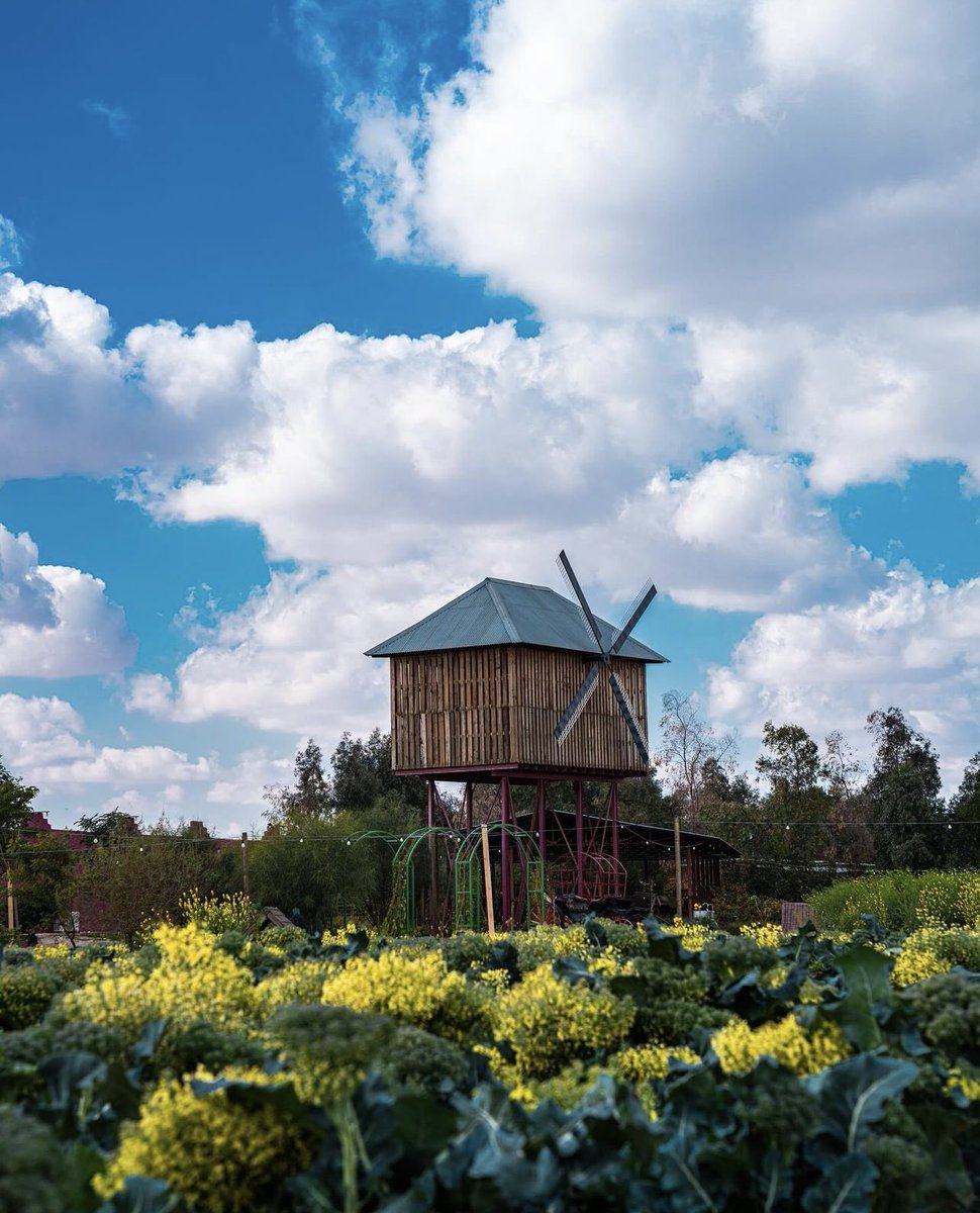 ASK KUWAIT tweet media