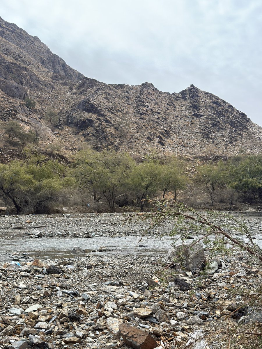 فاطمة الغامدي tweet media