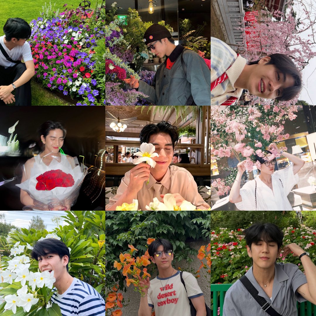 ˖⊹เซีย|sia. tweet media