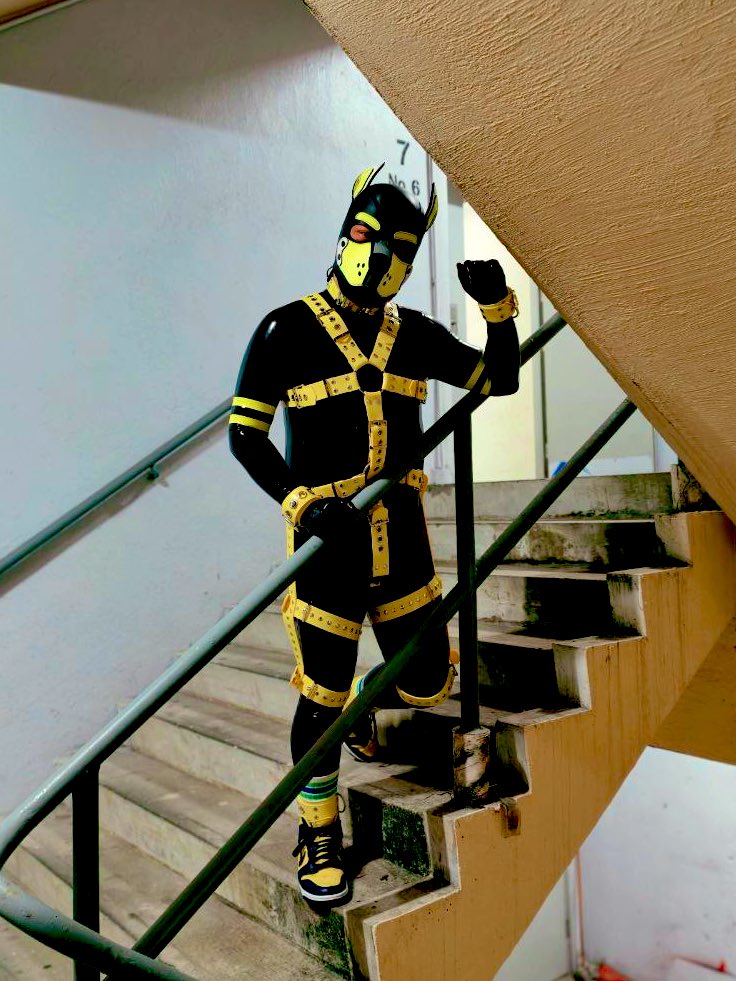 Gin Solar 🐶 🔜 tweet media