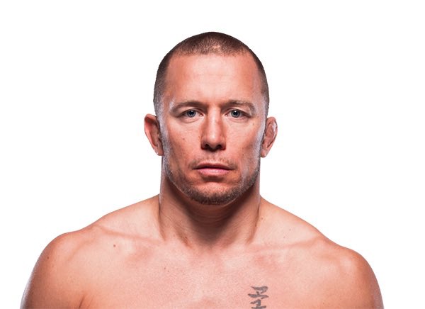 Blind Bear 🐻🕶️ tweet media