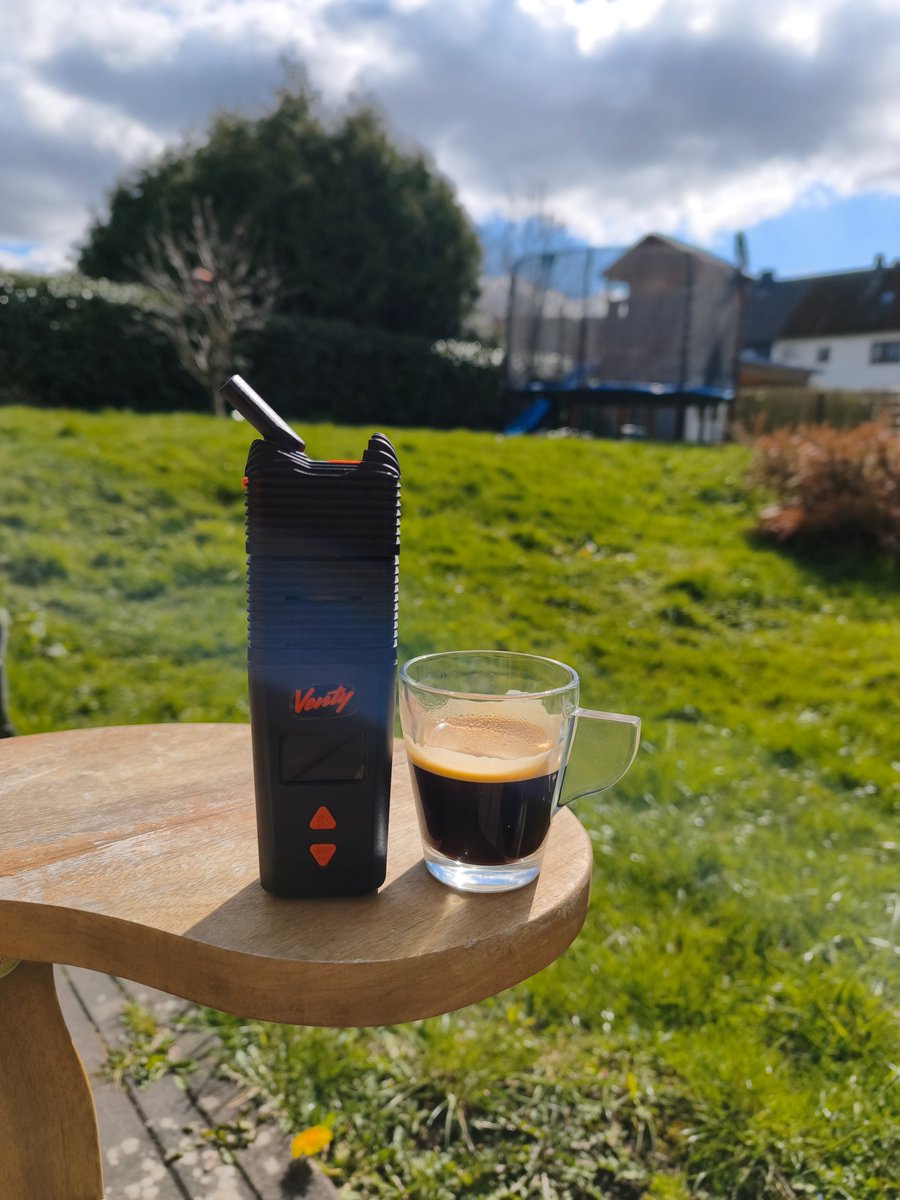 Green_sasch tweet media