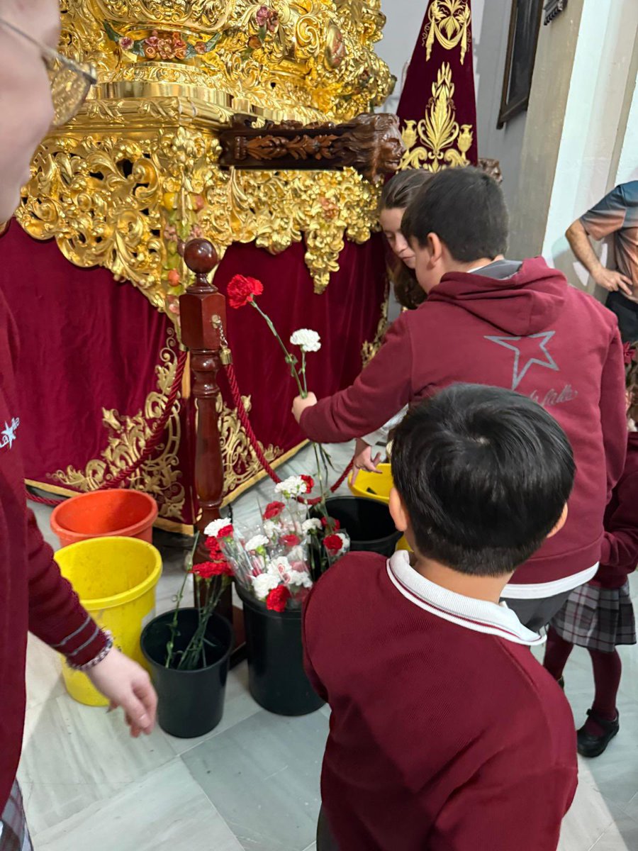 Cofradía de la Sentencia tweet media