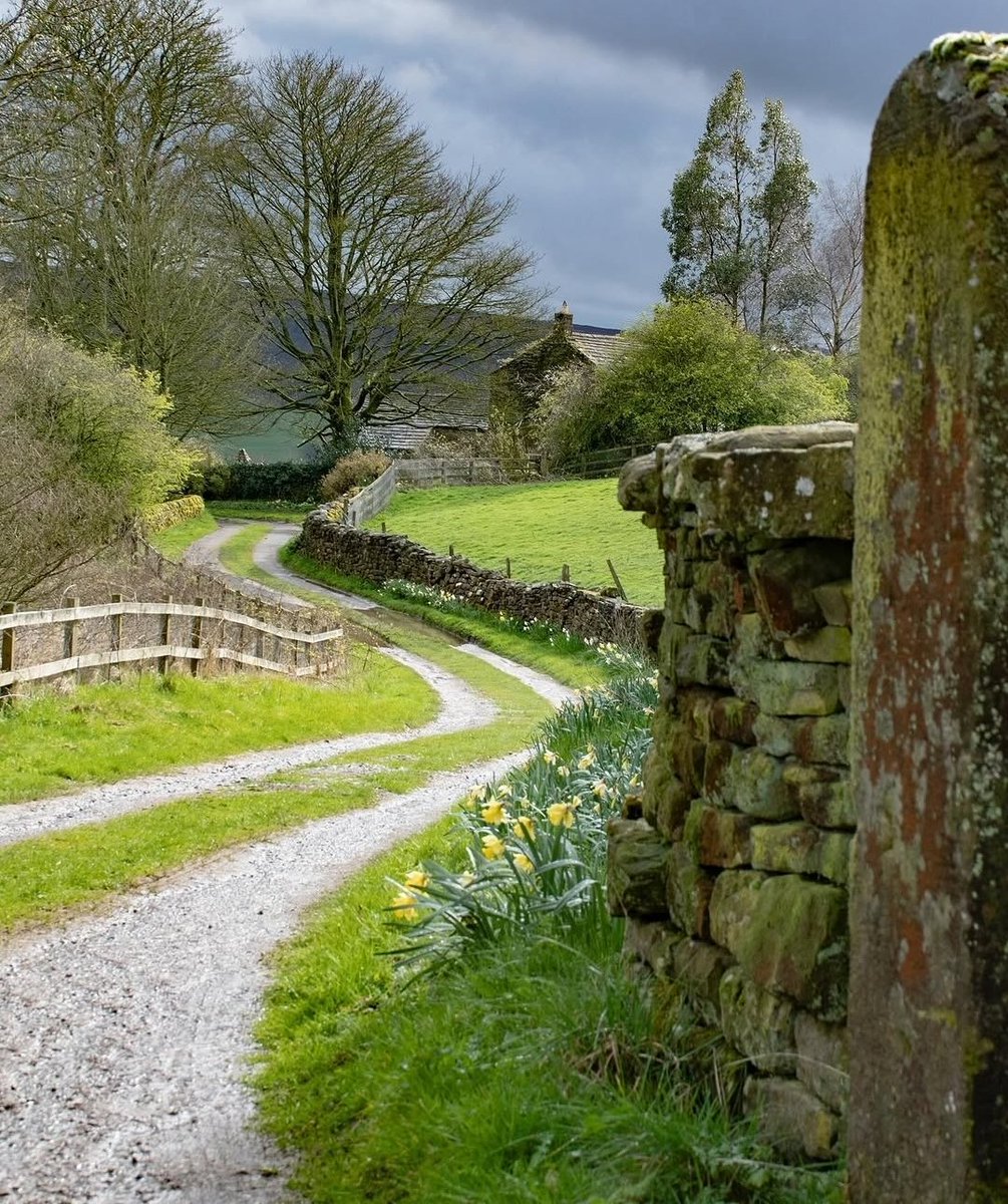 North Yorkshire tweet media