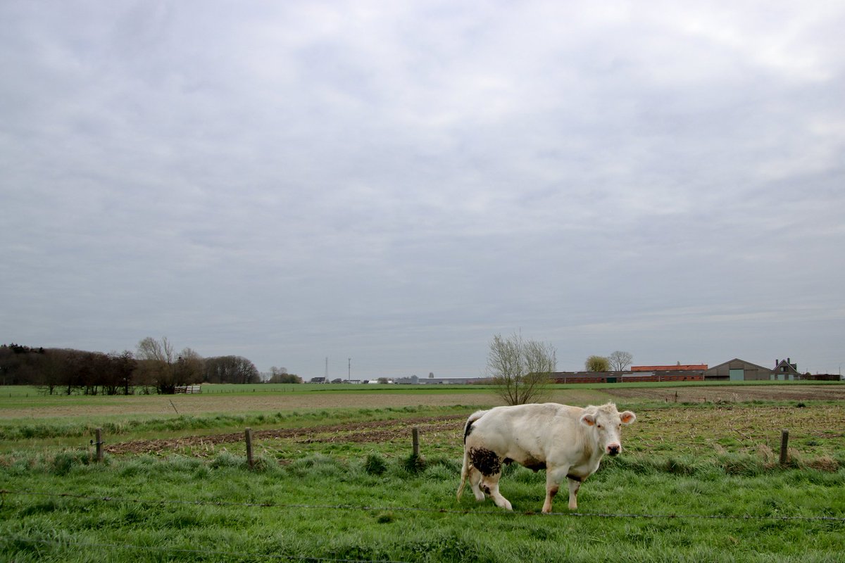 Luc Lambert tweet media