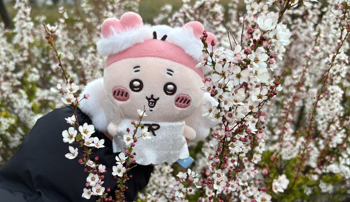 ぽっちゃりお尻は可愛い❤️ tweet media