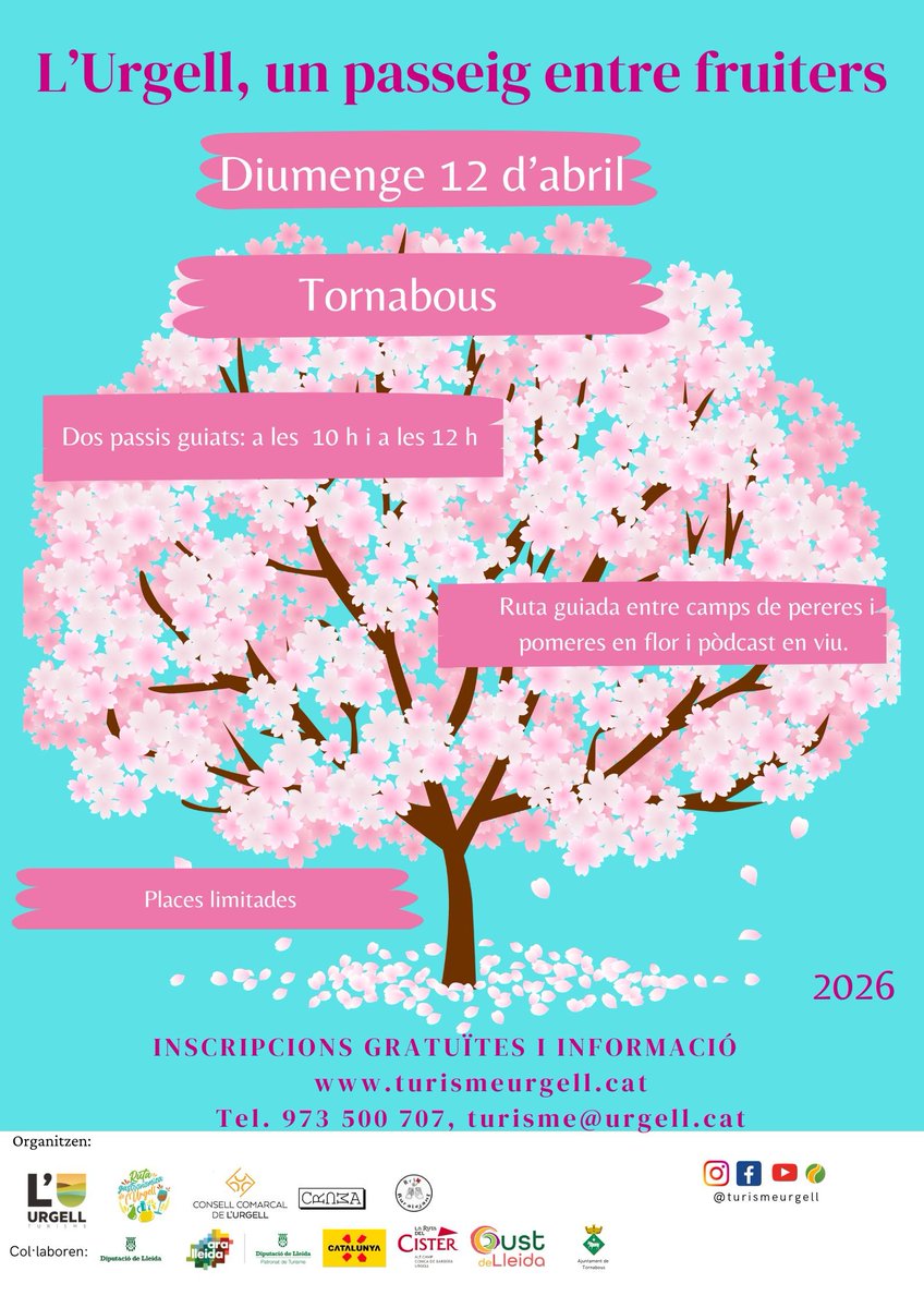 Consell Comarcal de l'Urgell tweet media