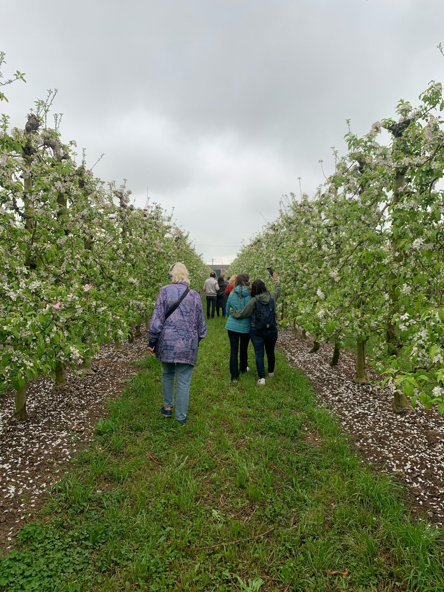 Consell Comarcal de l'Urgell tweet media