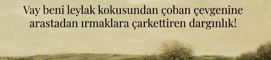 siiriansair's tweet photo. https://t.co/417p0w2NfX