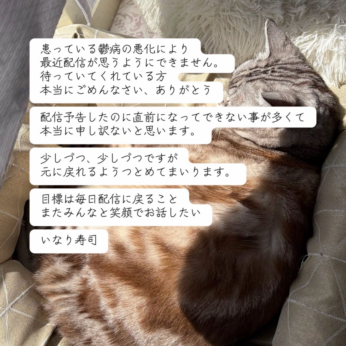 いなり寿司バイキング (@inari_buffet) on Twitter photo 
