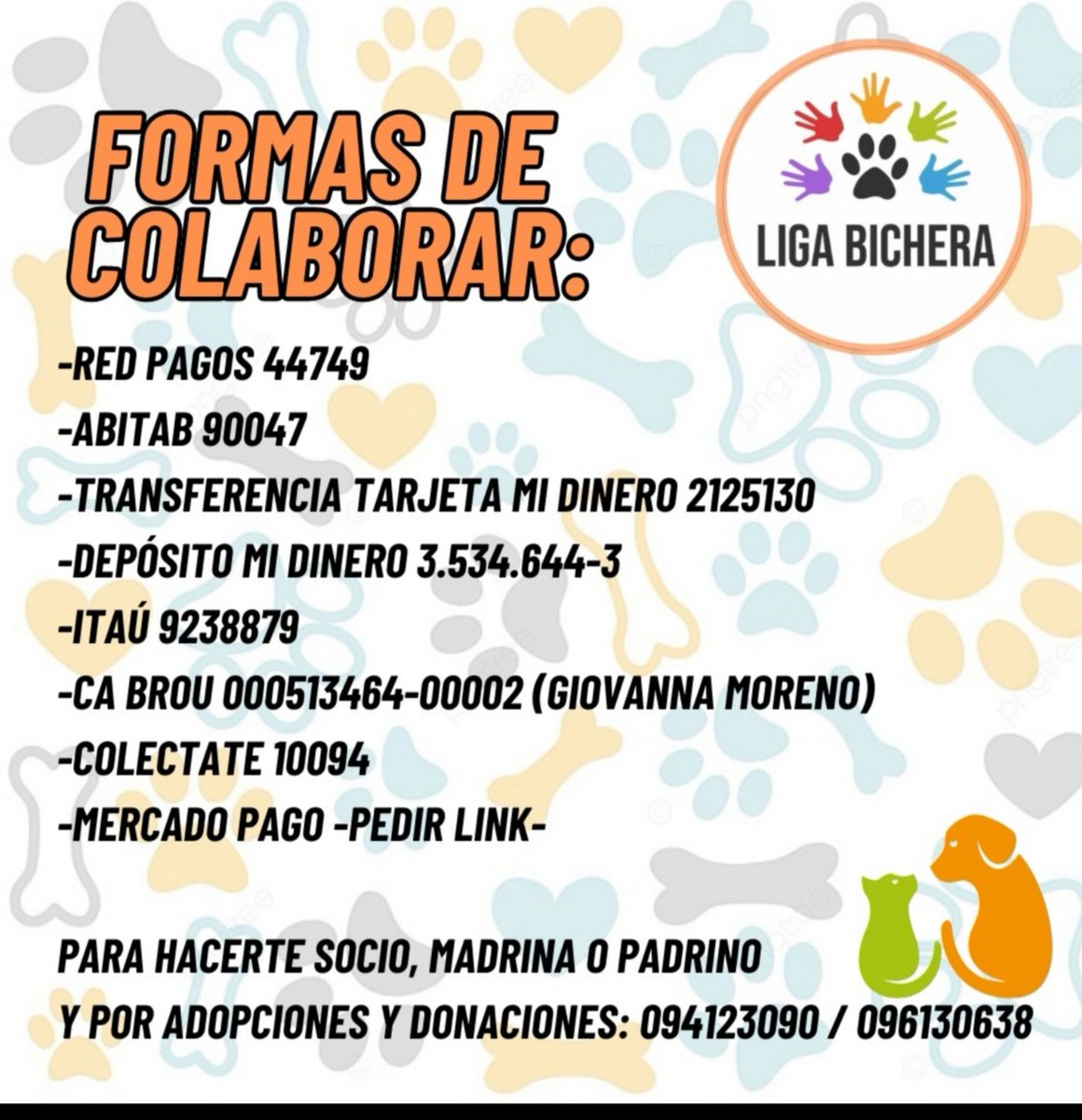 Giovanna Moreno tweet media