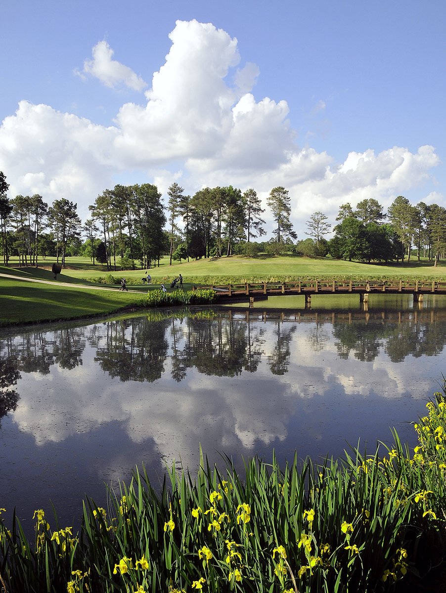 Toledo Women's Golf tweet media