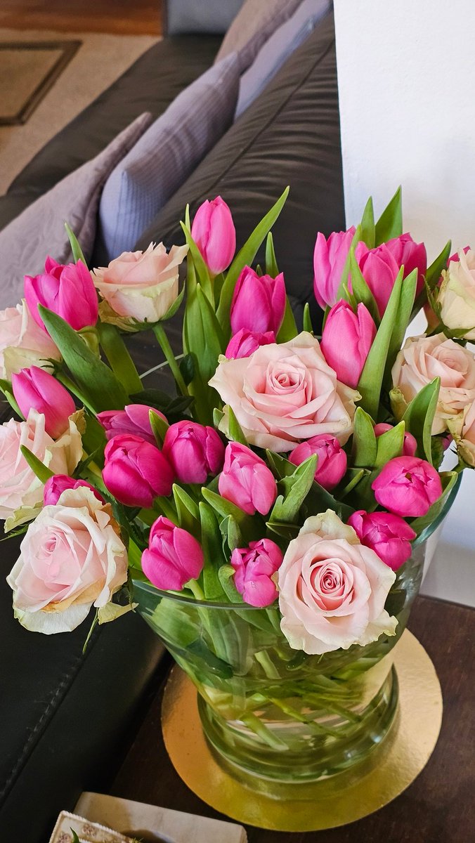 louise Weteling Hageman 🐦 tweet media