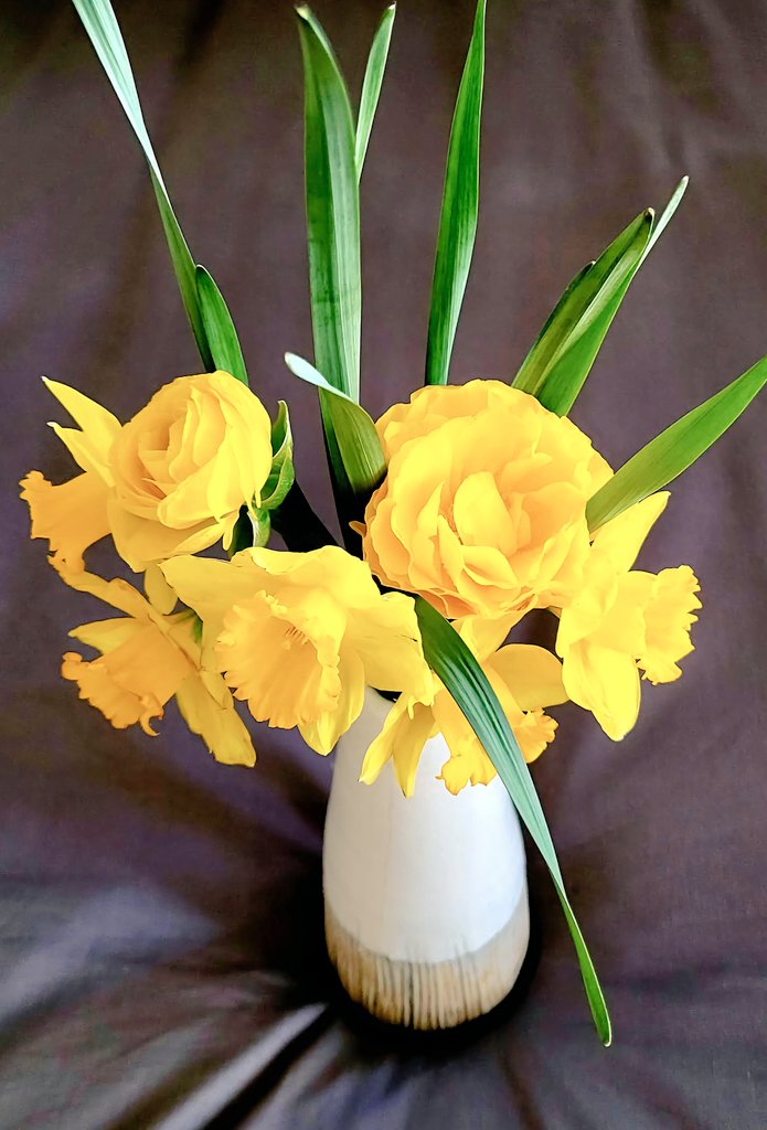 ∴ Pat ∴ tweet media