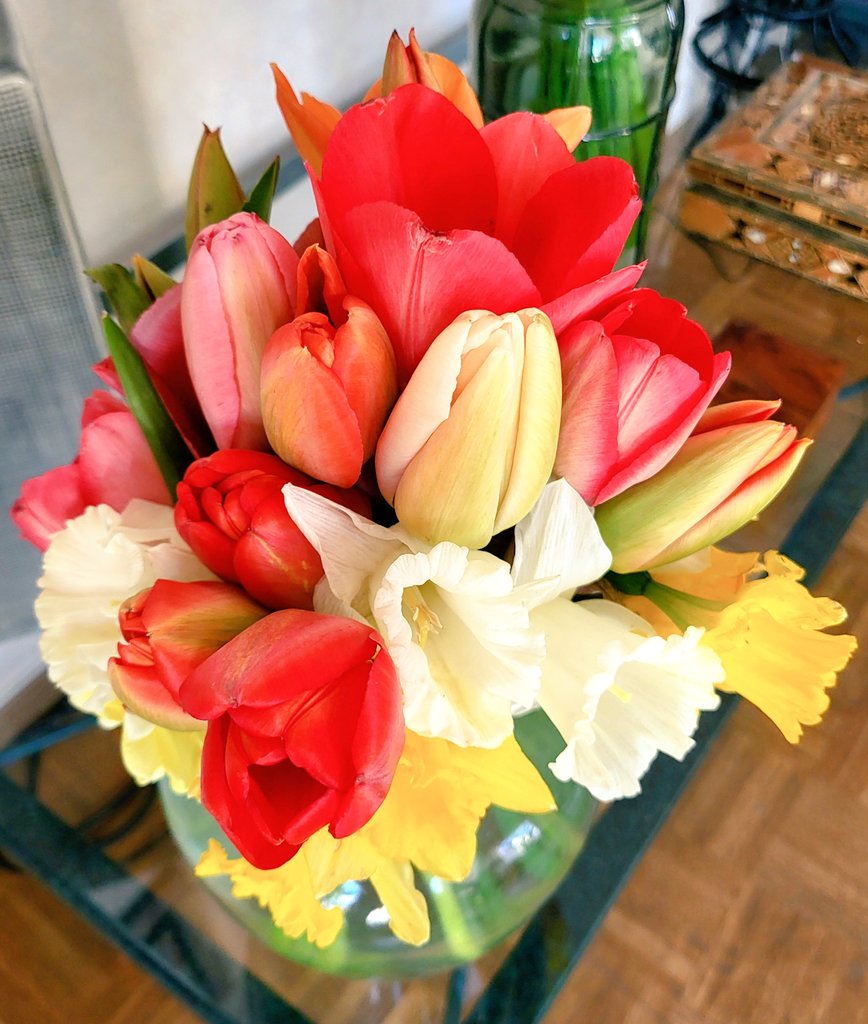 ∴ Pat ∴ tweet media