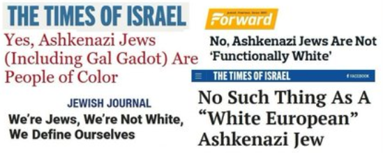 Stu World Order tweet media