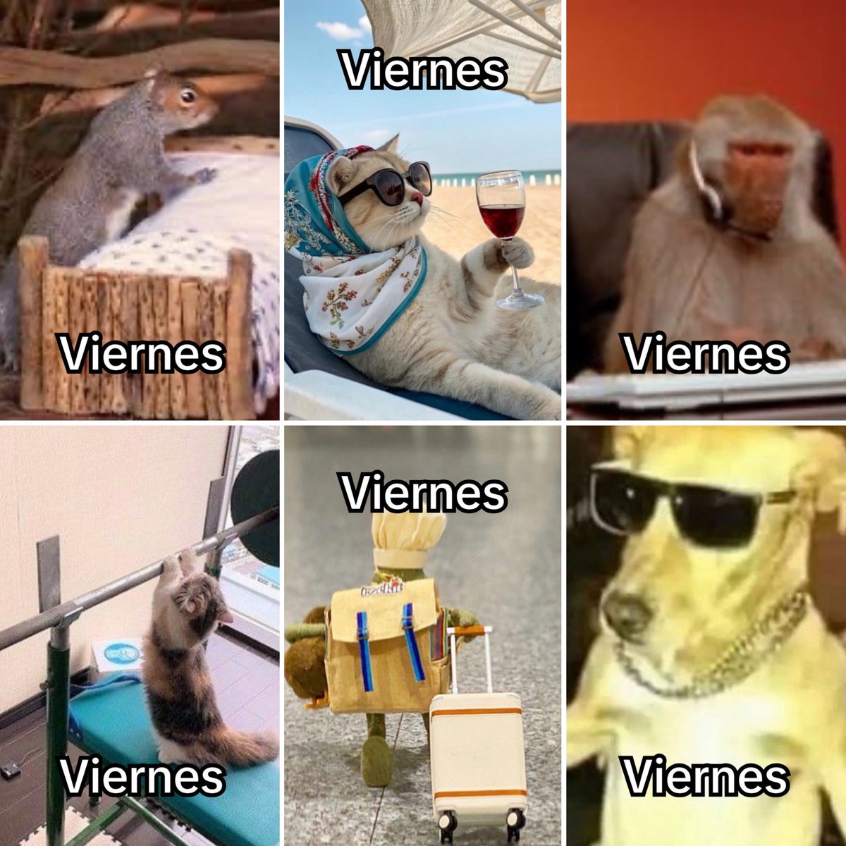 El Guarromántico tweet media