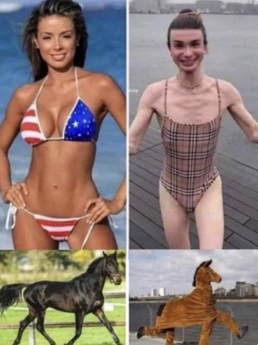 Georgie🇺🇸🇺🇸 tweet media