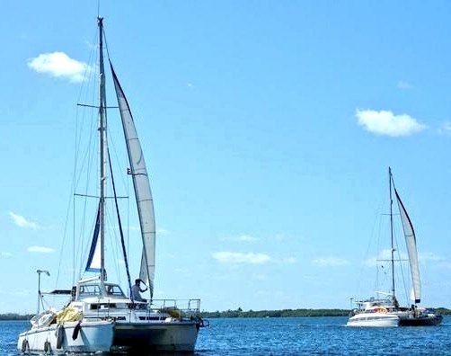 Ambassade de Cuba en France tweet media