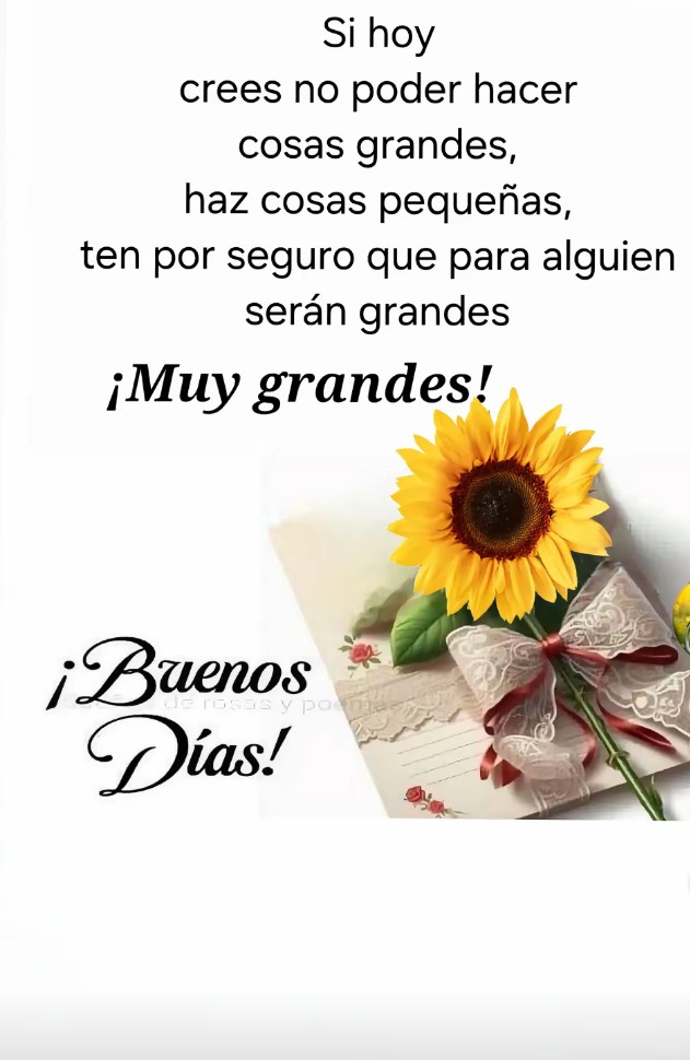 🌻💫🌷AAA tweet media