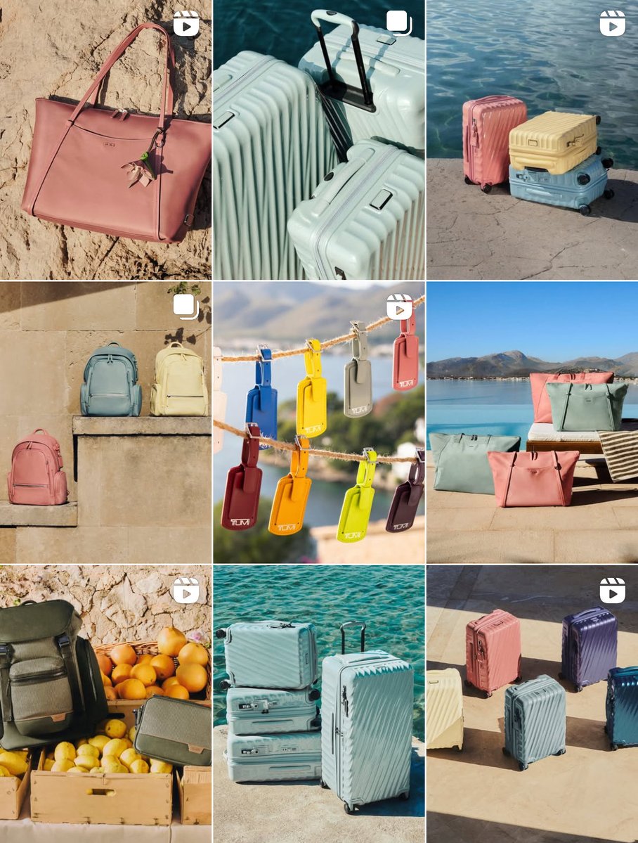 𝗺𝗲𝗼𝘄🐈⬛🐻❄️🎀˚ ༘⋆ tweet media