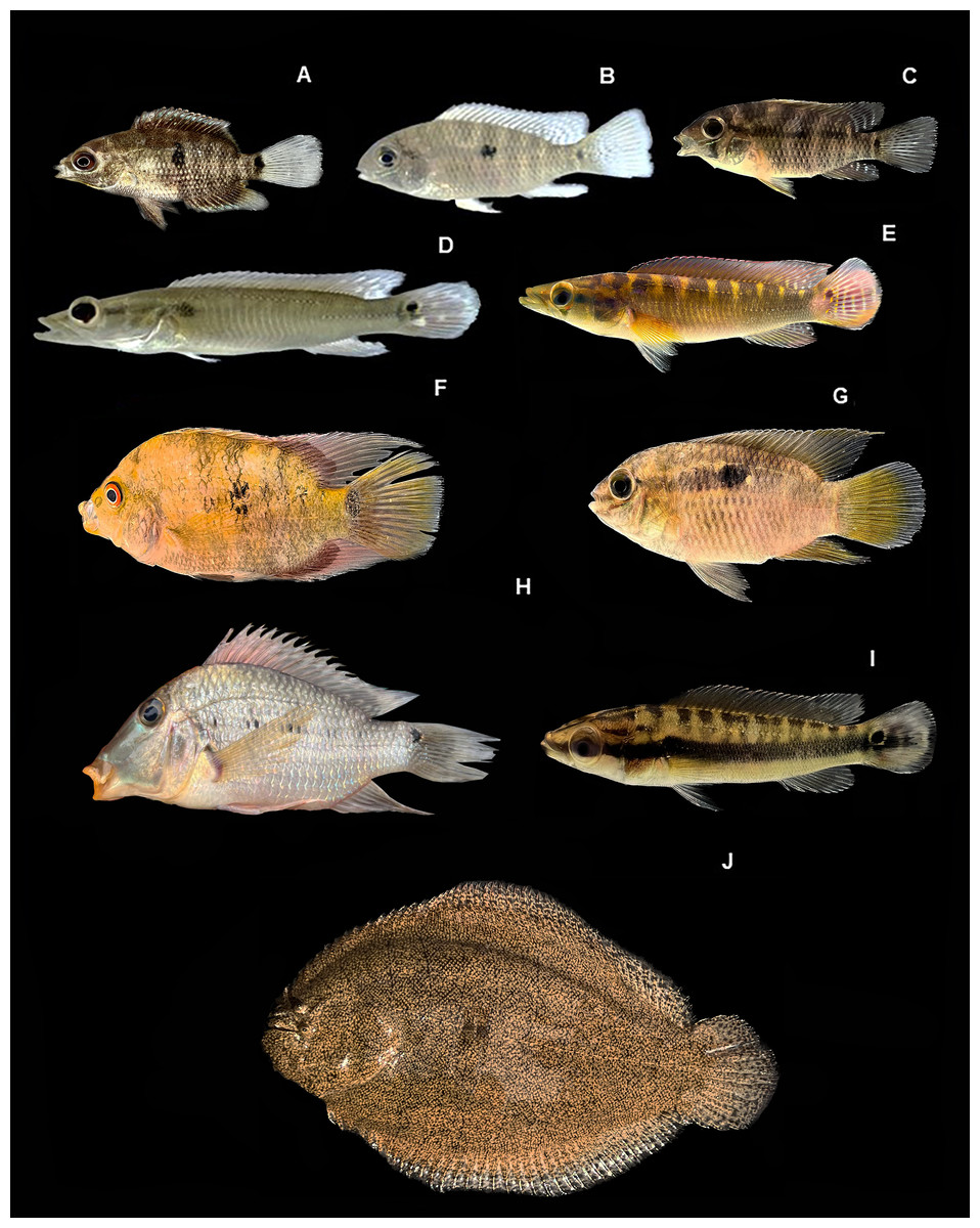 INABIO.EC tweet media