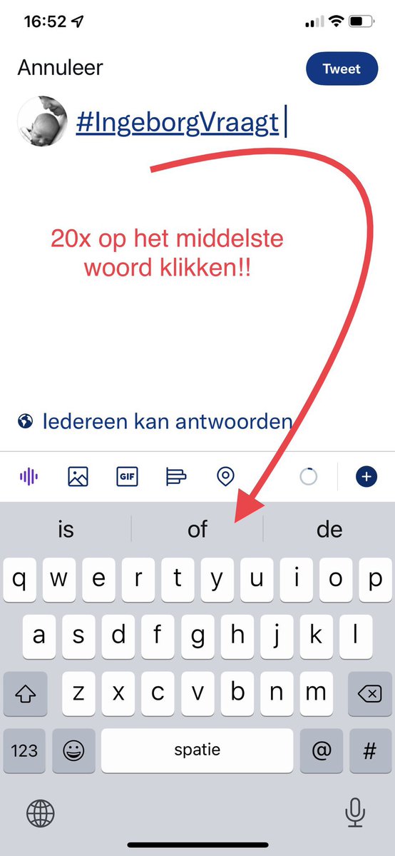 #IngeborgVraagt🍀😇 tweet media