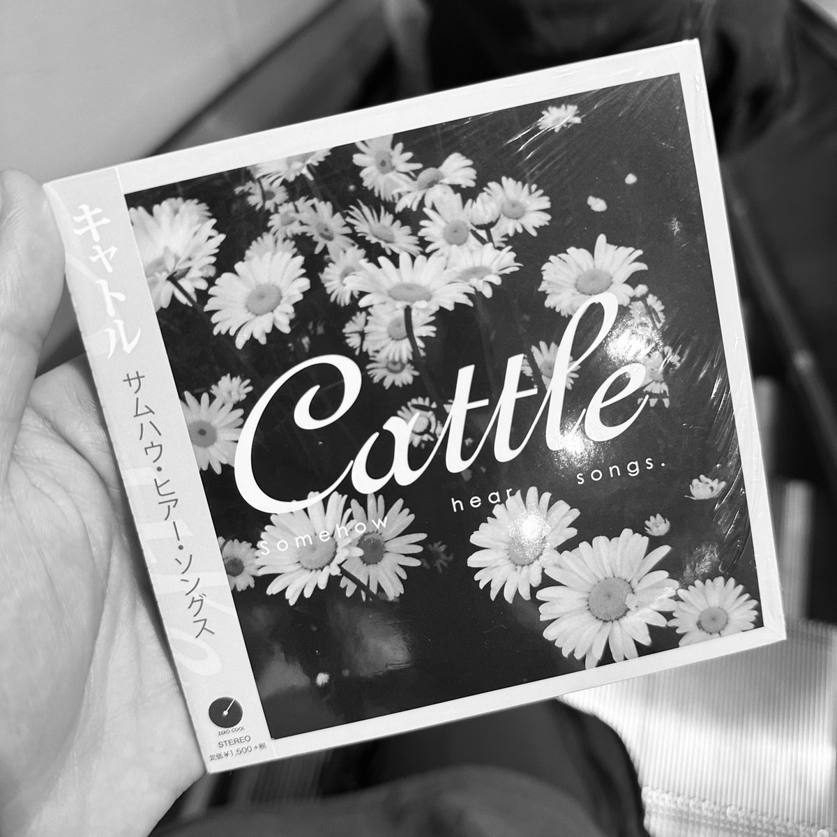 げーぶ tweet media