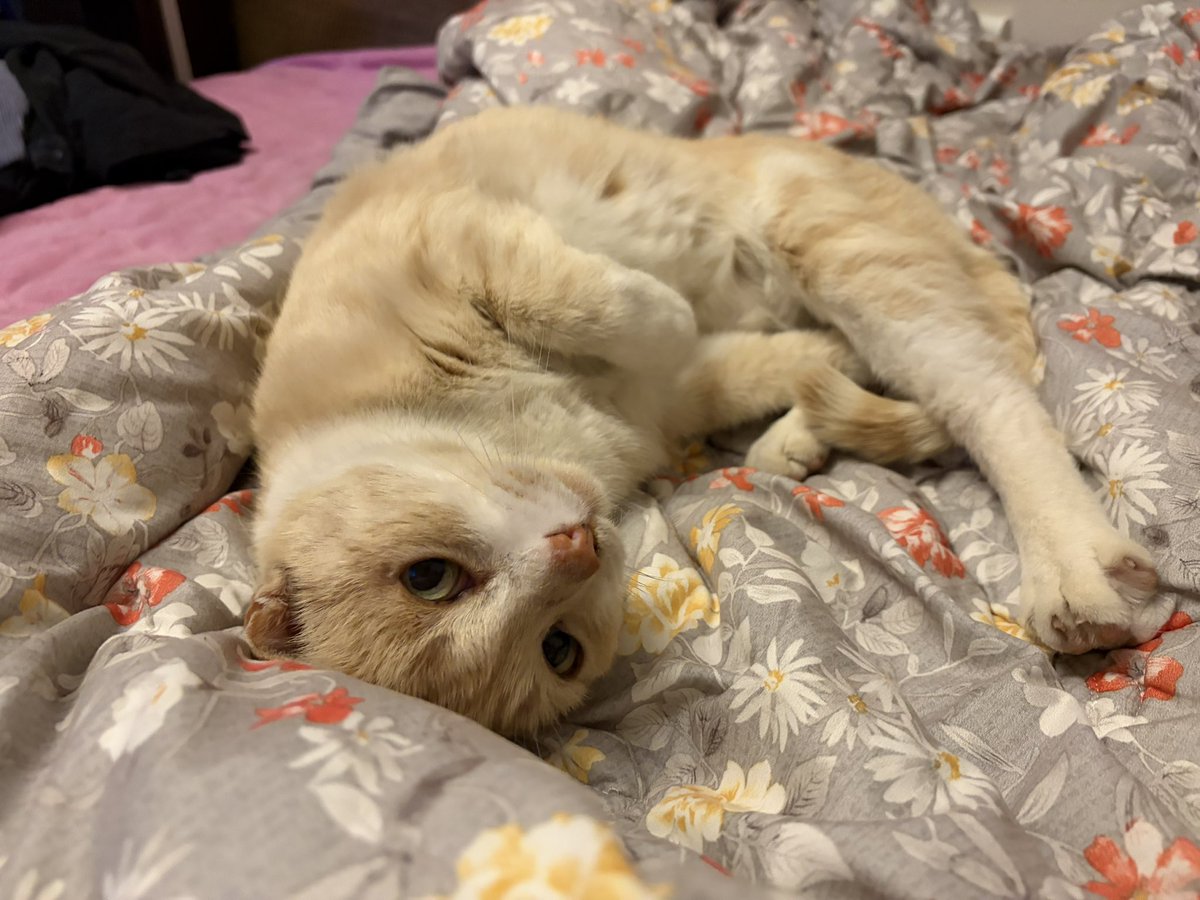 대파대파 tweet media