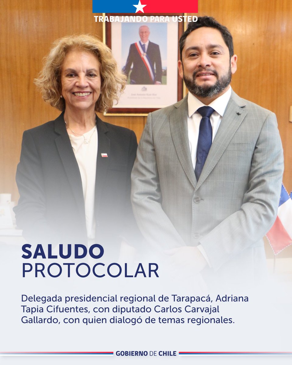 Delegación Presidencial Regional de Tarapacá tweet media