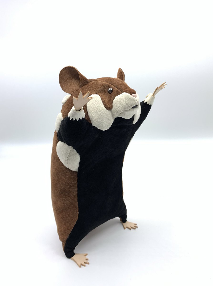 あまのじゃくとへそまがり tweet media