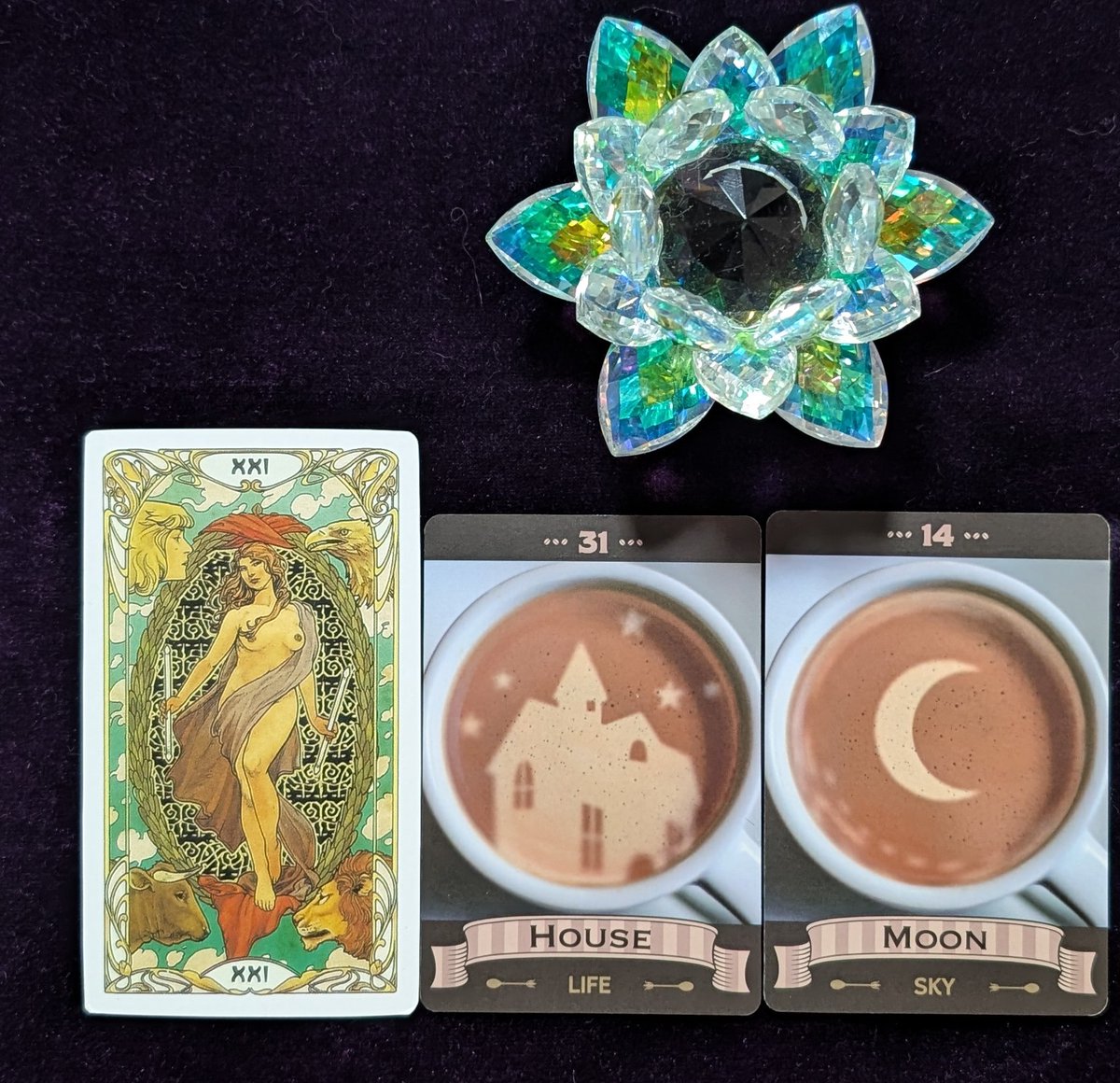 えるさ･グレース tweet media