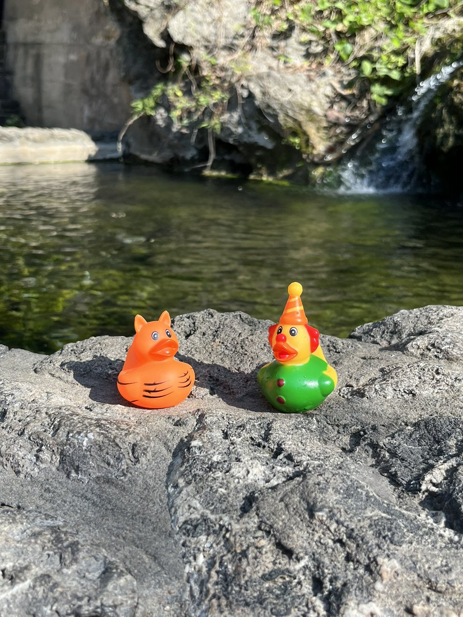 FortZumwalt EarlyEd tweet media