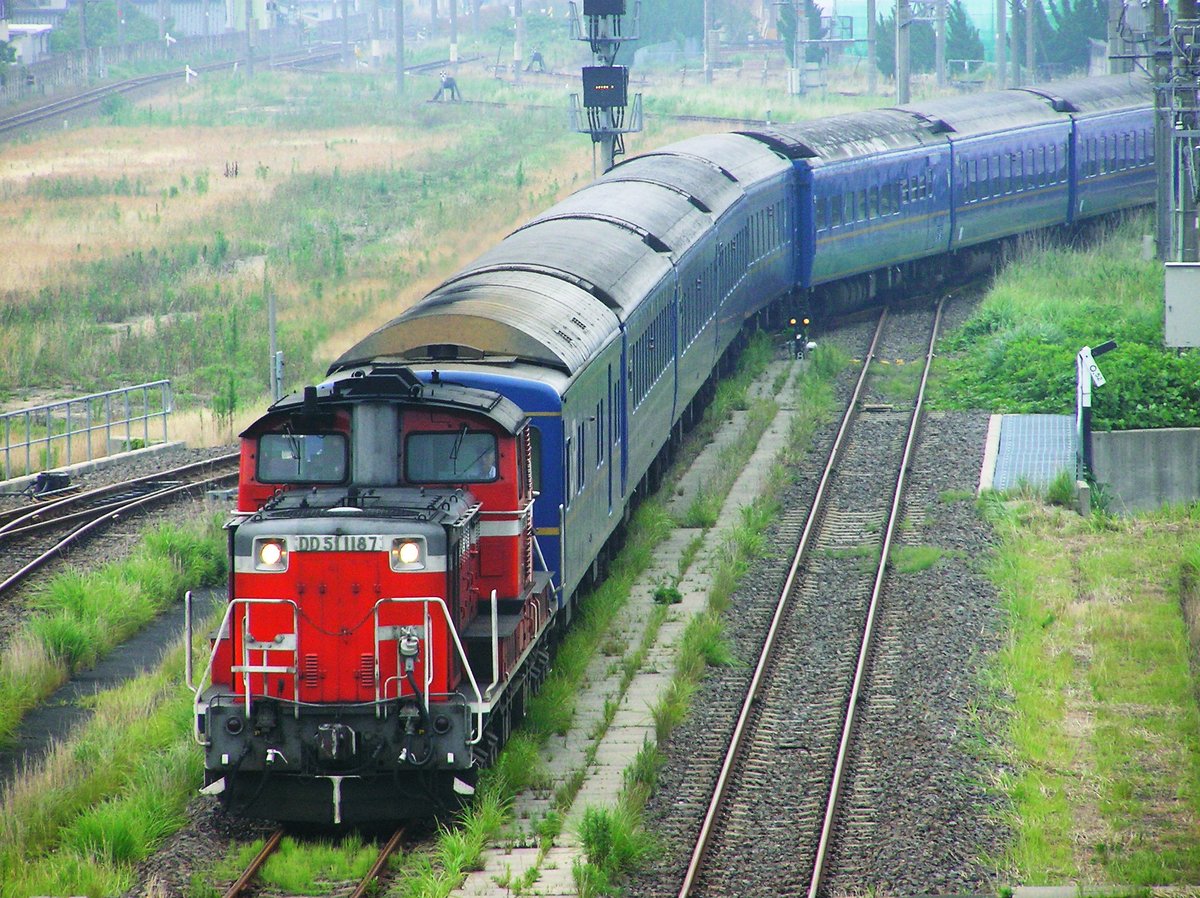 Nimo5@jp tweet media