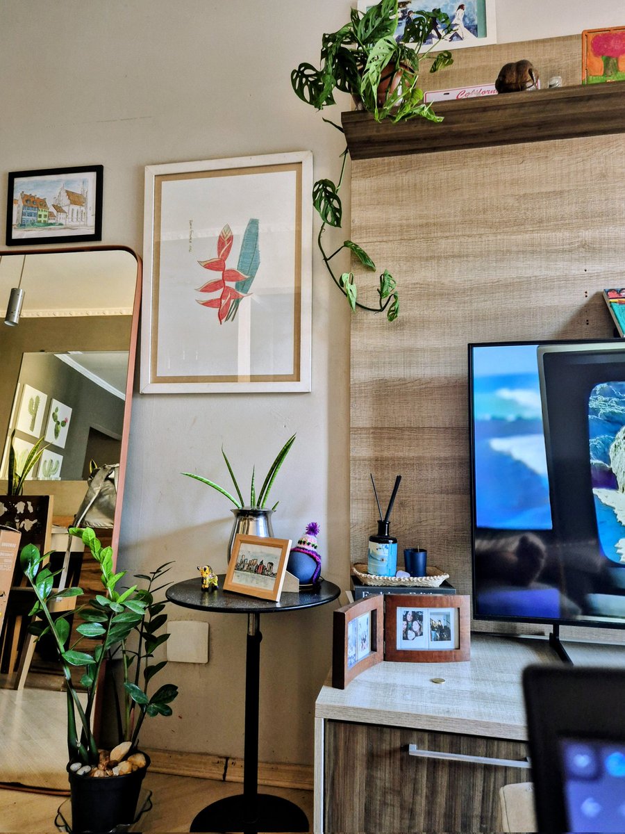 Carol Cerniauskas tweet media