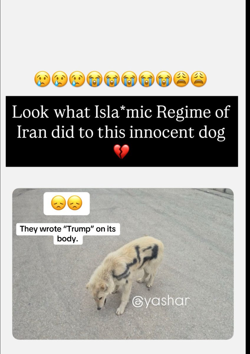 Sk 🇺🇸🇮🇷 tweet media