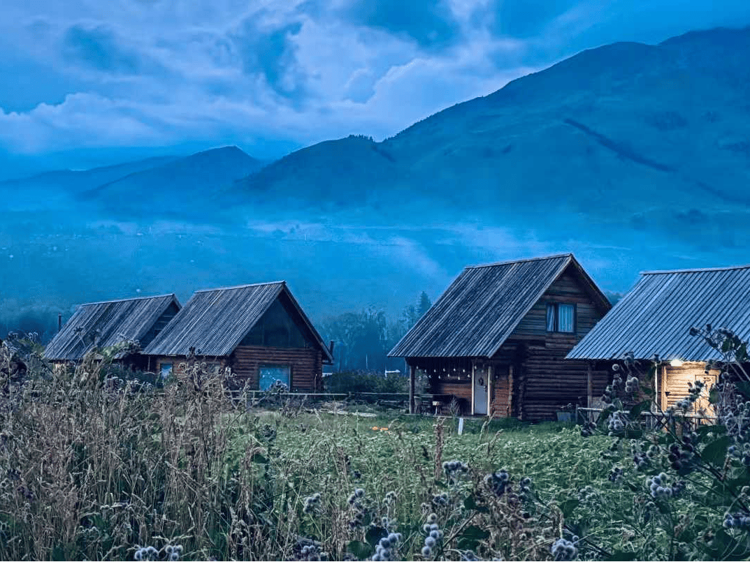 Jessica Wigham tweet media