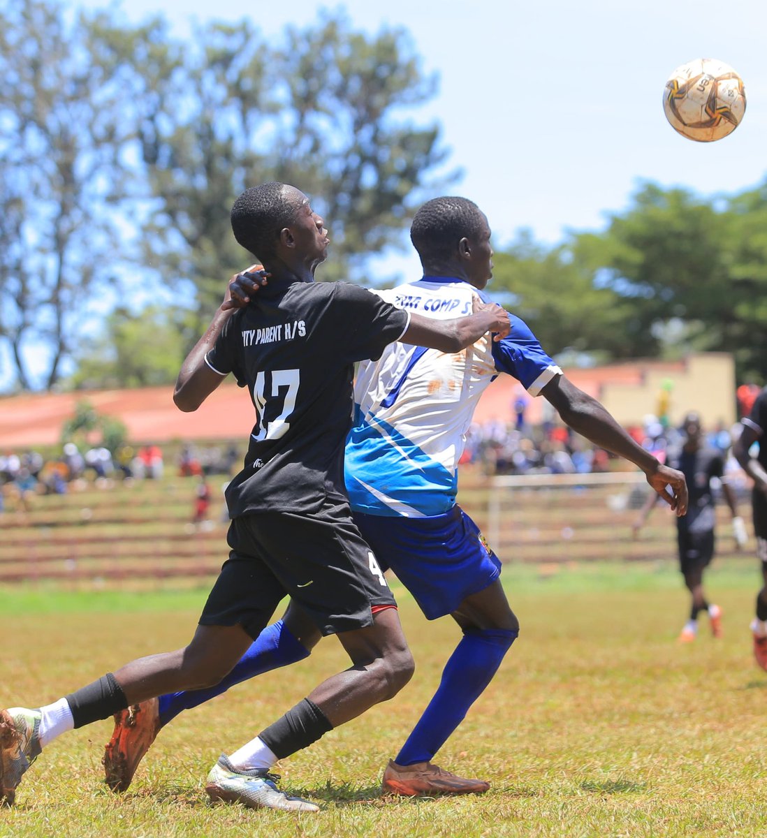 Sabula Sports tweet media