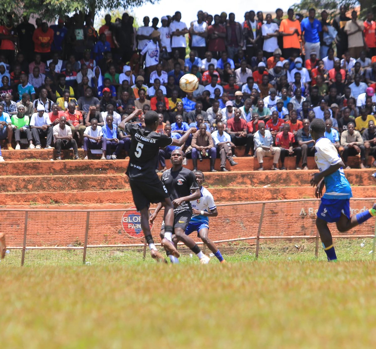 Sabula Sports tweet media