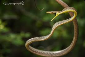 Bonjo🦧 tweet media