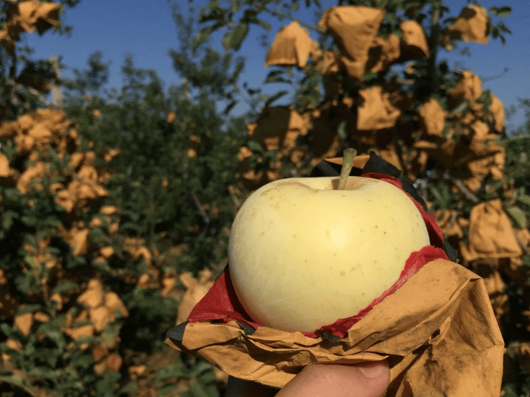 yumi_takada tweet media