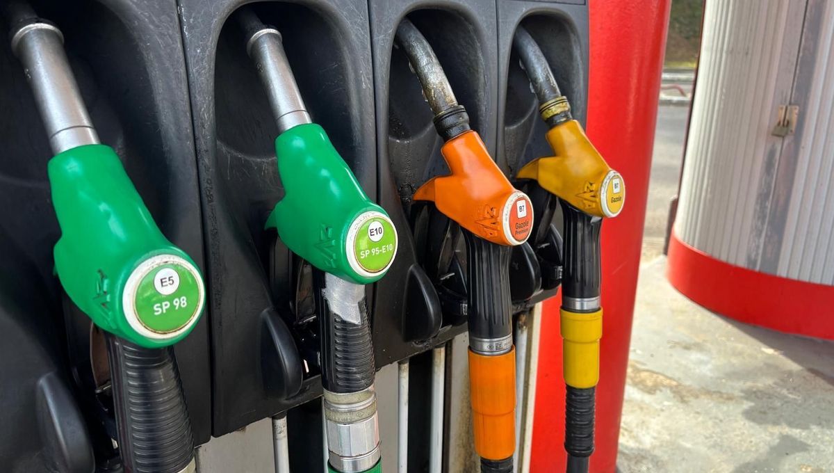 Femu a Corsica tweet media