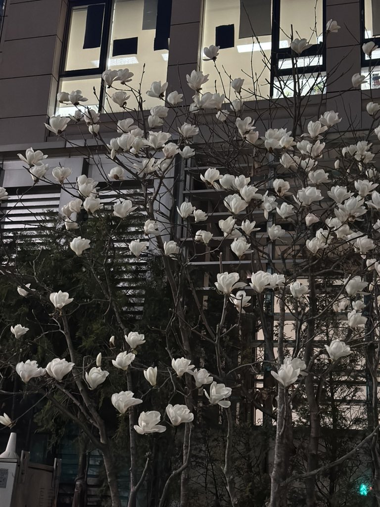 eaterypoint's tweet photo. missed my bus because i stopped to take photos of them https://t.co/79GhS0k8v9