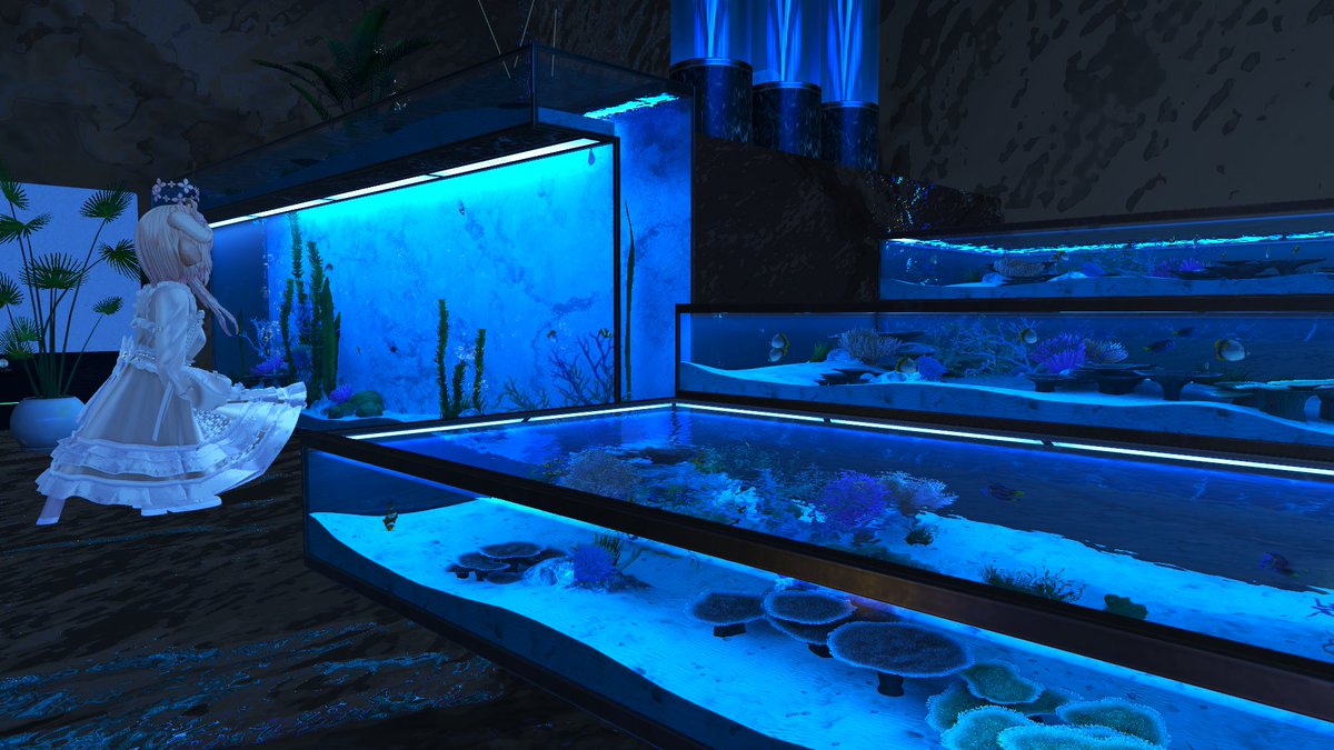 ひつじのテトラ tweet media