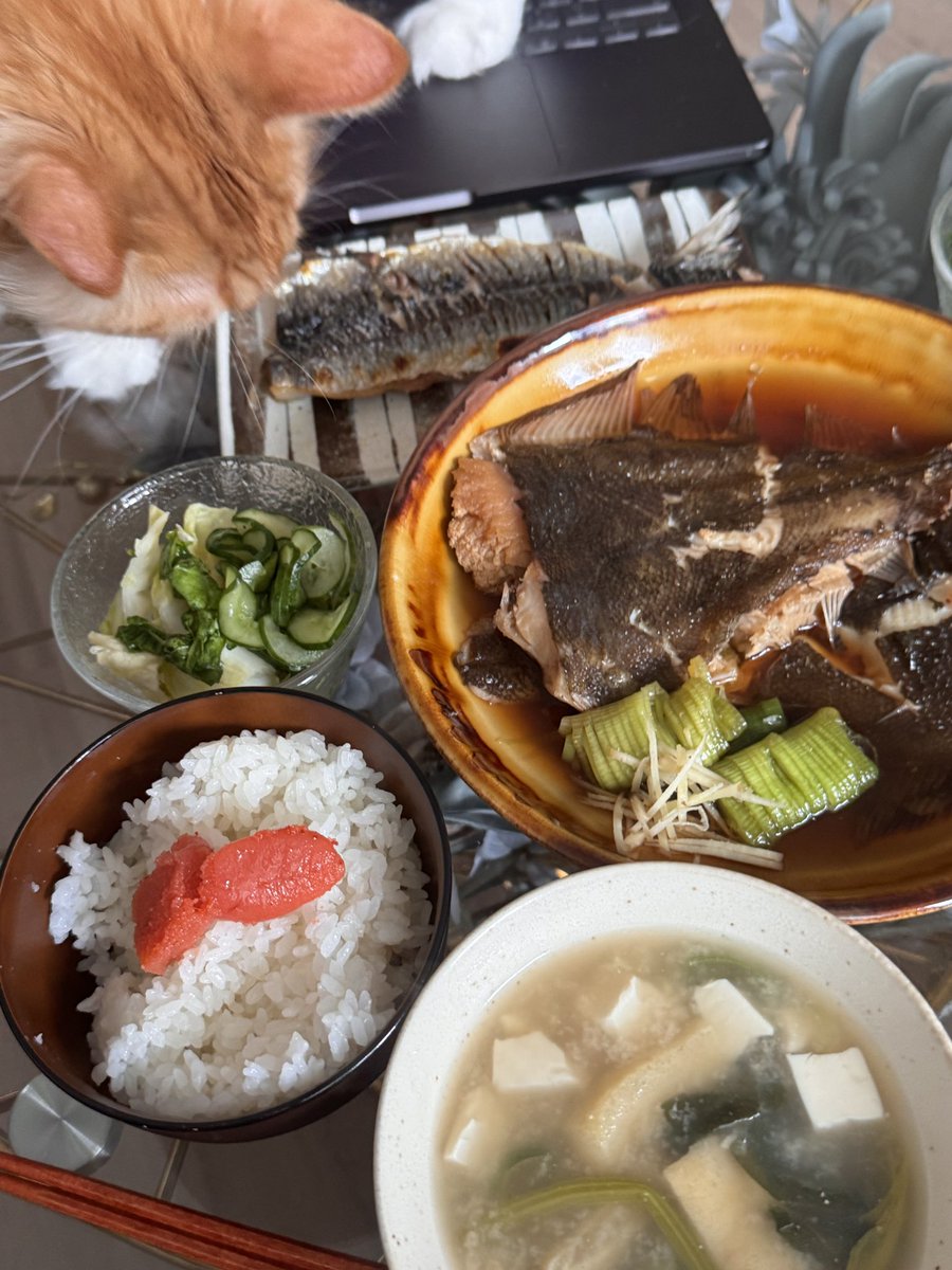 nonpedophile tweet media