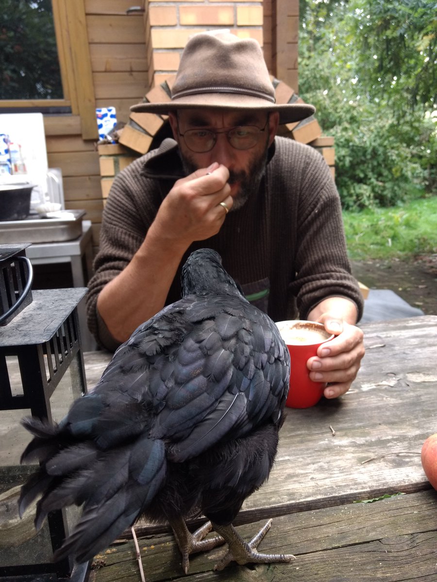 A_Girl_Insane 🐑🥕🚜 tweet media