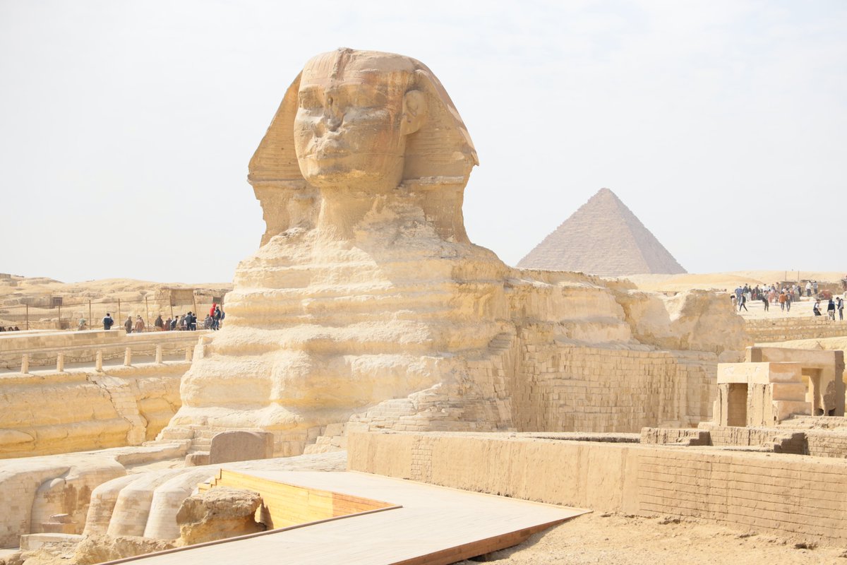 Stefan Burns tweet media