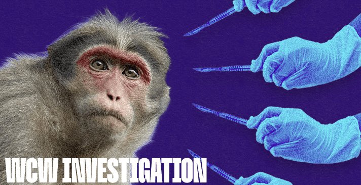 White Coat Waste tweet media