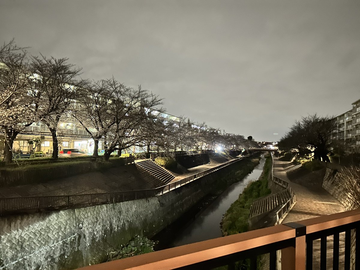 カピ原 tweet media